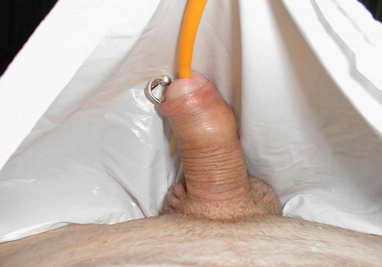 Penis Insertions