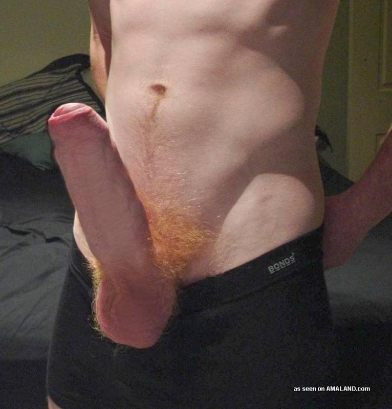 Young Guy Cock